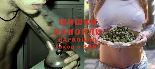 крисы Аркадак