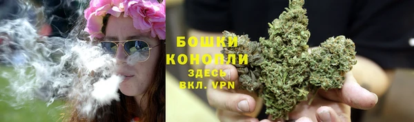 прущий лед Арсеньев