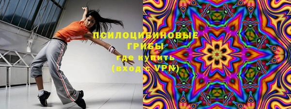 крисы Аркадак