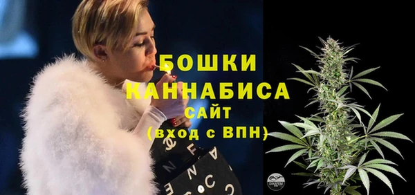 прущий лед Арсеньев